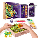 OKTO Clay Energy Wood & Craft DIY Succulents Air Clay Craft