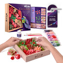 OKTO Clay Succulents Passion DIY Air Clay Craft Set