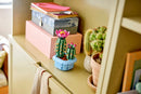 LEGO Flowering Cactus