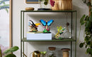 LEGO The Insect Collection