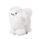 WARMPACA Dog Poodle 24cm White