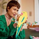 LEGO The Fauna Collection Macaw Parrots LEGO Art
