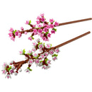 LEGO Cherry Blossoms Creator