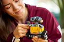 LEGO WALL-E and EVE
