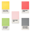 Pantone Creditcard Holder in Matte + Gift box (5 colours)