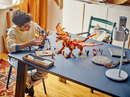 LEGO Source Dragon of Motion