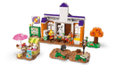LEGO K.K.'s Concert at the Plaza