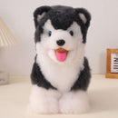 WARMPACA Husky dog - white & dark grey