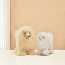 WARMPACA Dog Poodle 24cm Beige
