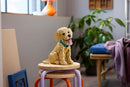 LEGO Golden Retriever Puppy