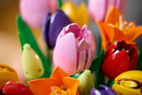 LEGO Tulip Bouquet