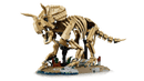 LEGO Dinosaur Fossils: Triceratops