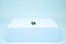 LEGO Turtle with a Water Lily Flower