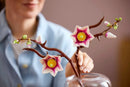 LEGO Magnolia Branches