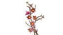 LEGO Magnolia Branches
