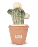 DOUDOU Doudou Botanique - Cactus - 25cm - Plush Toys