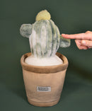 DOUDOU Doudou Botanique - Cactus - 25cm - Plush Toys