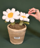 DOUDOU Doudou Botanique - Marguerite - 25cm - Plush Toys