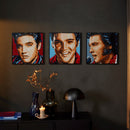 LEGO Elvis Presley "The King" LEGO Art