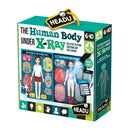 HEADU The Human Body under X-Ray