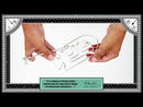 Professor Puzzle Fish Puzzle (The Einstein Collection)